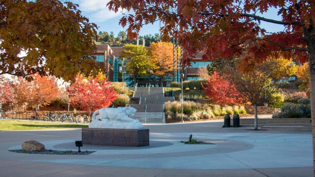 El Pomar Plaza with Autumn leaves