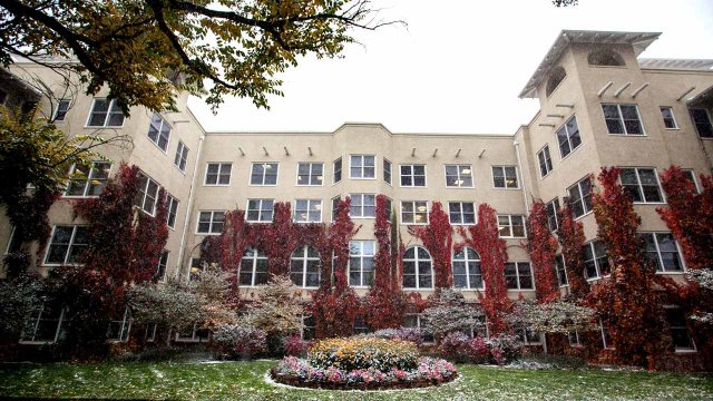 red vines climbing up the walls of Main Hall in the snow