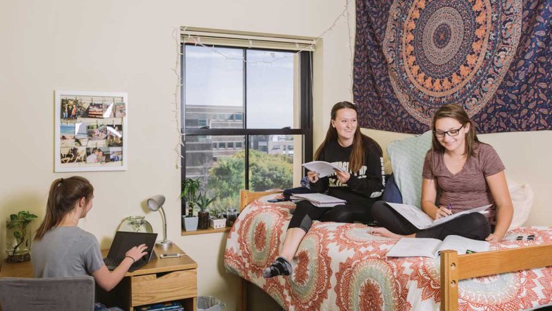 students studying together in their room